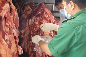 Lạm dụng kháng sinh, bệnh không thuốc chữa 