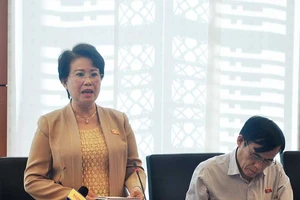 Tiền đâu giải phóng mặt bằng làm sân bay Long Thành?