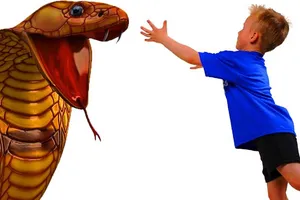 Trẻ kiên cường nhờ được yêu thương và động viên 