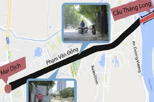 Chặt 1.300 cây xanh để mở đường là bắt buộc? 