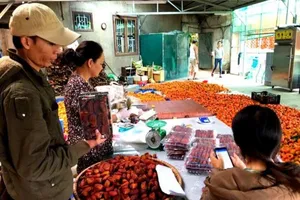 Vì sao cần đường dây nóng cho “cò du lịch” ở Đà Lạt?