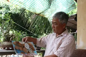 Giống nhãn Idol của ông Út Hiện