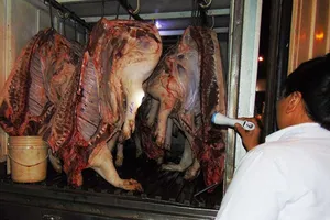 Vắng bóng thú y ở chợ đầu mối, tại sao?