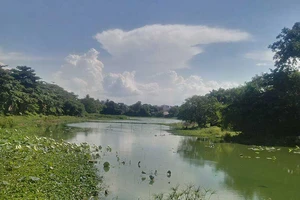 Vì đâu hồ Tịnh Tâm mất mùa hoa sen? 