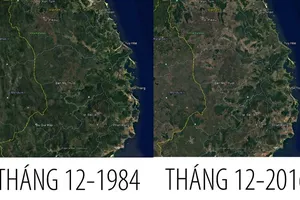 Đại biểu Quốc hội bức xúc chuyện phá rừng