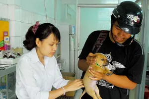 Chạy lòng vòng xét nghiệm bệnh chó dại