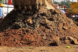 Phường xác nhận đất công để cấp cho cá nhân