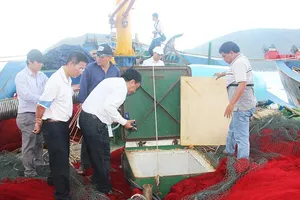 Vụ tàu vỏ thép: ‘Cơ quan đăng kiểm là người sai nhất’