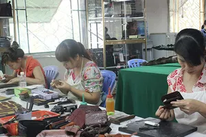 Bảo hiểm xã hội đóng cao, lương hưu thấp