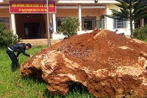 Giao đá canxedon 20 tấn cho khu sinh quyển Langbiang 