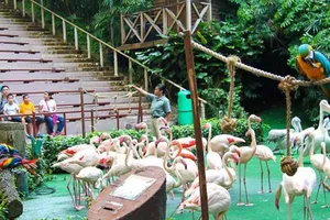 Người Singapore nhường đất cho cây xanh