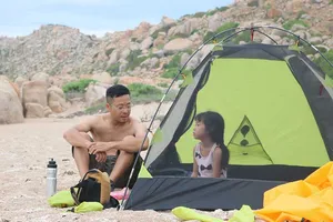 Đi bảo vệ... rùa đẻ