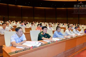 Nhà nước phải chủ động xin lỗi người bị oan