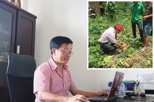 Doanh nhân suốt ngày đi giải cứu nông sản