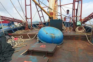  Giám đốc Đại Nguyên Dương: ‘Tôi thề không gian dối!’