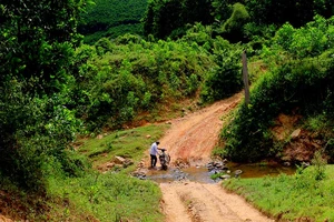 Dân bức xúc vì mở đường mà không được hỗ trợ 