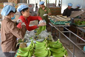 ‘Cục giải cứu nông sản’ giúp được gì?