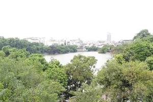 Chủ tịch Hà Nội: Không có chuyện thay cây xanh Hồ Gươm