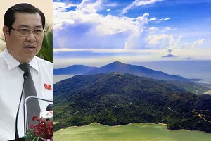 Đà Nẵng quản lý Sơn Trà theo cơ chế đặc biệt