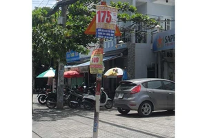 Biển báo giao thông bị che khuất