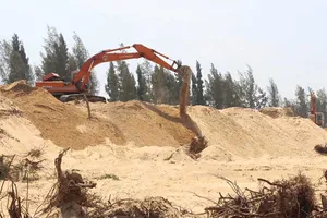 Kiến nghị giải trình các dự án phá rừng ở Phú Yên