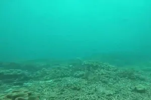 Gần vị trí nhận chìm 1 triệu m3 bùn, cát có gì?