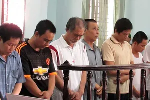 Trộm liên tỉnh, tòa không nhập án