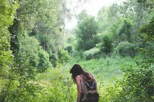 ‘Tắm rừng’ nâng cao chất lượng cuộc sống