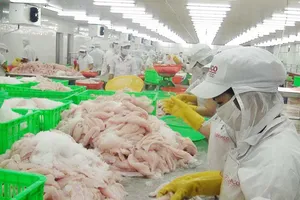 Cá tra Việt Nam bị ‘triệt đường’ vào Mỹ