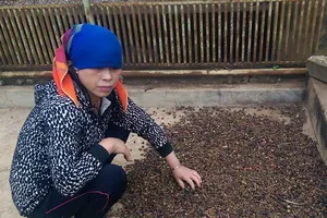 Thư ký không nhận lỗi, chánh án yêu cầu kiểm điểm lại