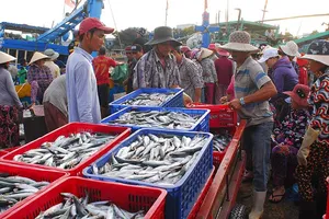 Hôm nay báo cáo kết quả khảo sát vùng biển nhận chìm 