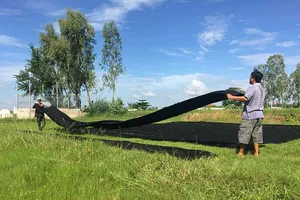 Chật vật giữ hồn lãnh Mỹ A