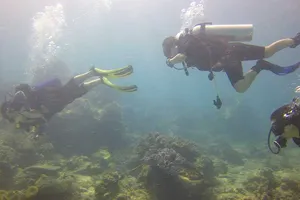 Bình Thuận kiến nghị không nhận chìm xuống biển 