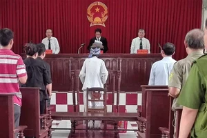 Con đòi tòa xử cha ‘đúng pháp luật’