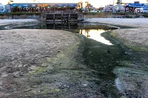 Nước thải nhà hàng, khách sạn ‘bức tử’ bãi biển 