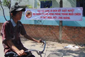Chống dịch, bao năm vẫn khẩu hiệu 'diệt lăng quăng'