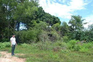 Đất mua hợp pháp vẫn không được sử dụng 