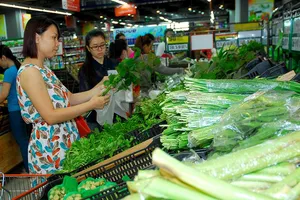 ‘Việt Nam chưa thể làm như các nước được’