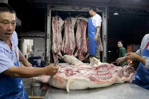 Khủng hoảng thịt heo có thể sẽ trở lại