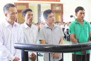 Quan chức nào ‘dính’ vụ phá rừng phòng hộ Phú Yên?