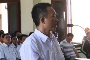 Vụ phá rừng Phú Yên: VKS đề nghị 8 năm tù 