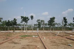 Vì sao chỉ cho tách thửa đất dưới 2.000 m2? 