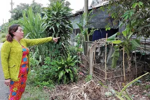 Tòa đã chia ranh đất, xã đòi xác minh lại!