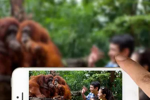 Đánh mất ‘mỏ vàng’ du lịch trực tuyến tỉ USD 