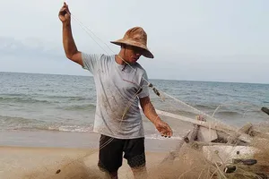 Ngư dân khổ vì cá nóc xuất hiện nhiều bất thường