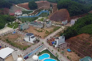 Nói giàu do buôn chổi đót là coi thường dư luận