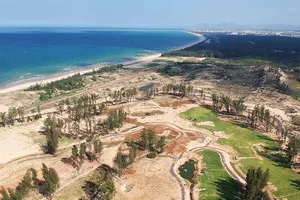 Phá rừng ở Phú Yên: Kiến nghị xử lý nhiều lãnh đạo