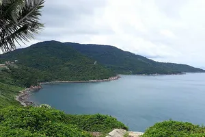 Các chủ đầu tư nói về báo cáo Sơn Trà 