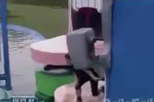 'Chiến binh Ninja' phiên bản lỗi