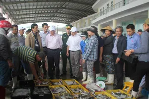 Ban Quản lý an toàn thực phẩm: Vẫn chủ yếu đi phạt